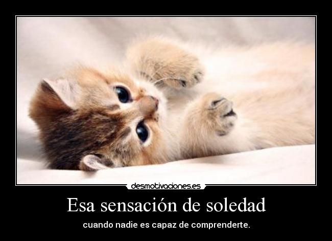 Esa sensación de soledad - cuando nadie es capaz de comprenderte.