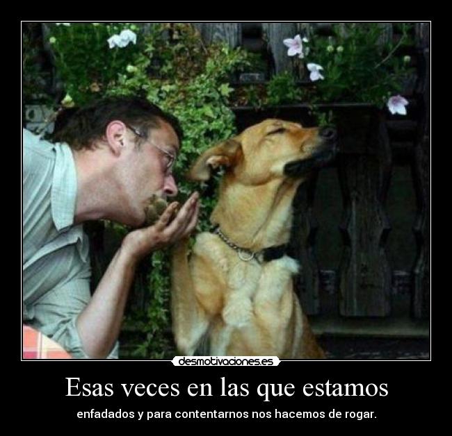 Esas veces en las que estamos - 