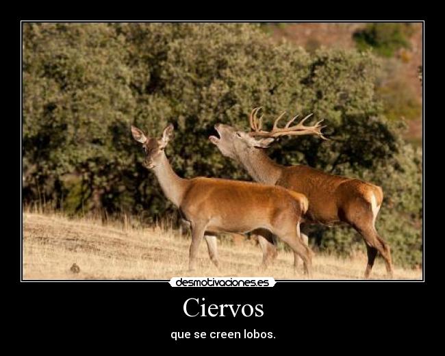 carteles hanstopacio ht99 v25 cartel 245 lool desmotivaciones