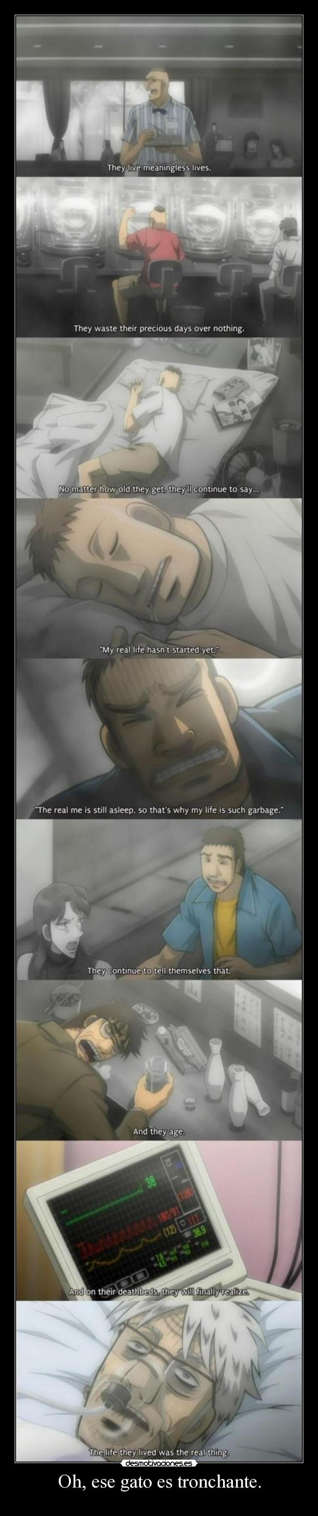 Oh, ese gato es tronchante. - 