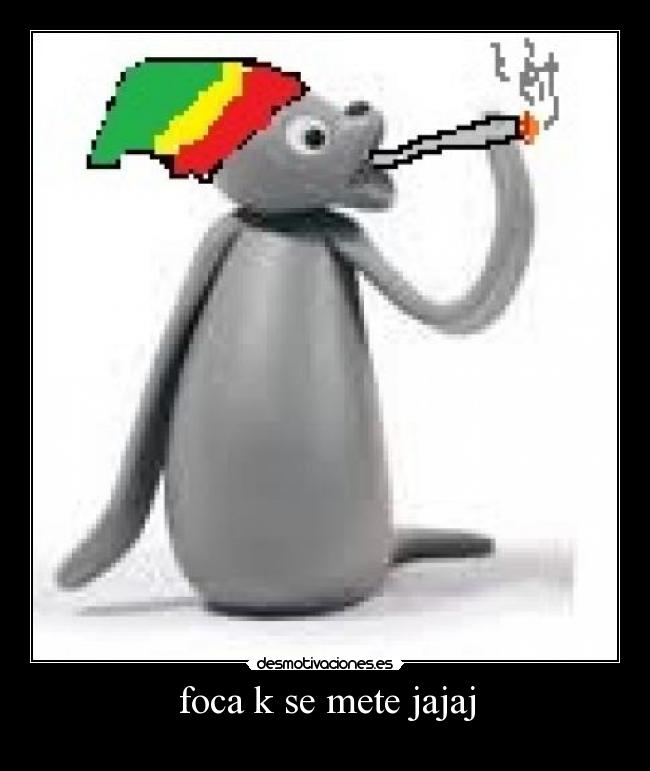 foca k se mete jajaj -