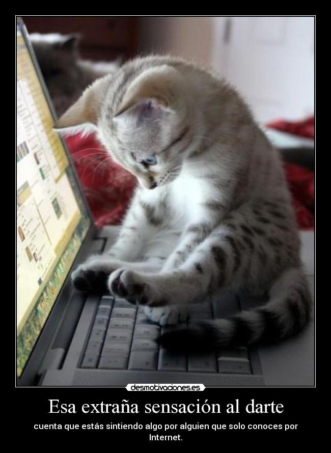 Esa extraña sensación al darte - cuenta que estás sintiendo algo por alguien que solo conoces por Internet.
