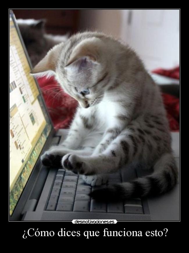 carteles desmo02 desmotivaciones