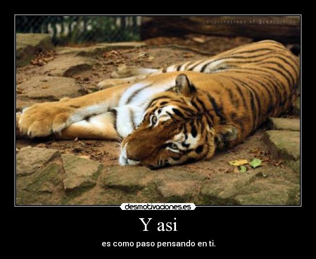 Y asi - es como paso pensando en ti.