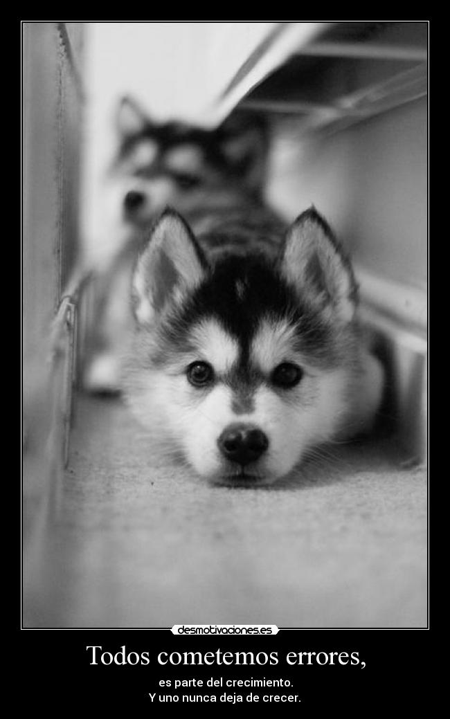 carteles crecer errores realidad desmotivaciones