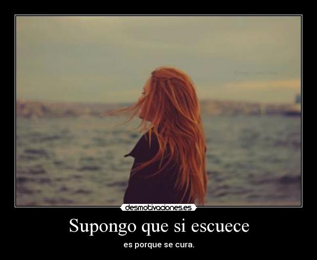 Supongo que si escuece - es porque se cura.