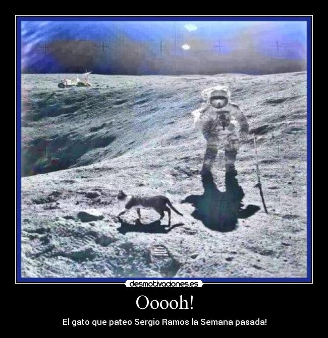 Ooooh! - El gato que pateo Sergio Ramos la Semana pasada!