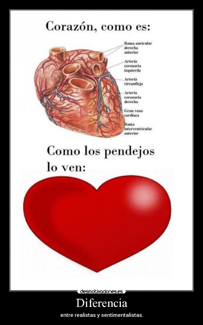 Diferencia - entre realistas y sentimentalistas.