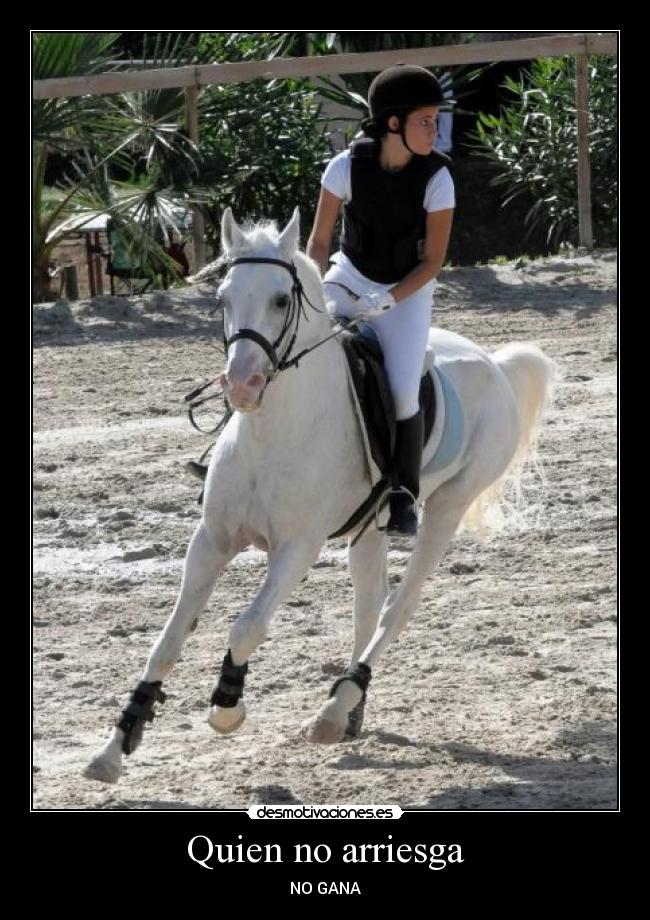 Quien no arriesga - 