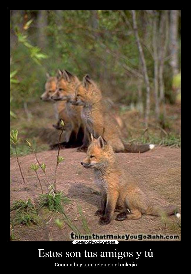 Estos son tus amigos y tú - Cuando hay una pelea en el colegio