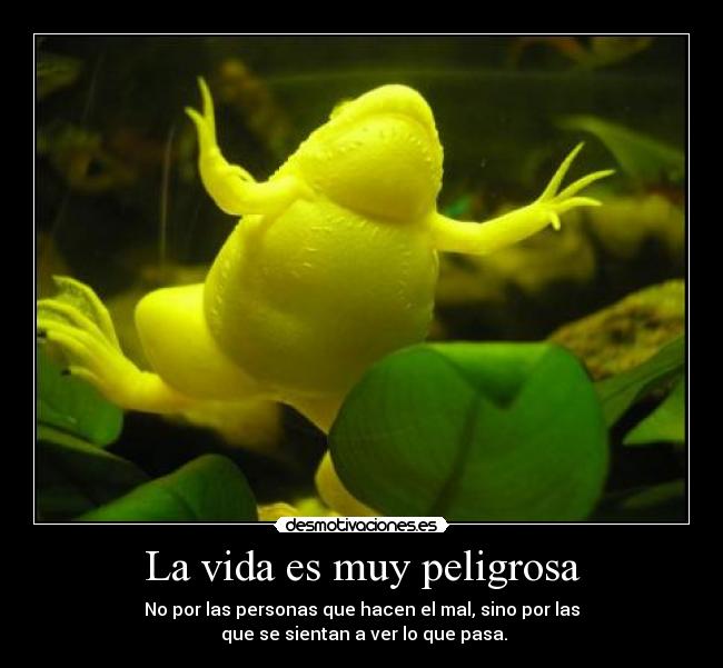 La vida es muy peligrosa - 