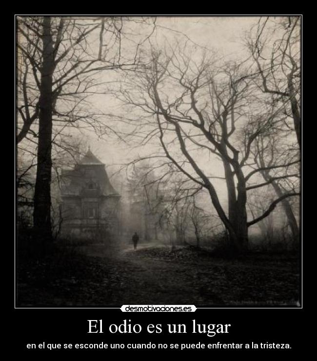 carteles odio bipolargirl desmotivaciones