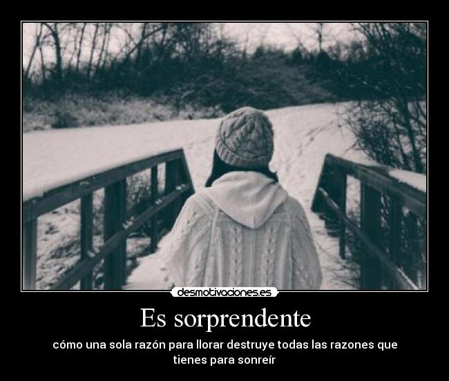 carteles frases desmotivaciones