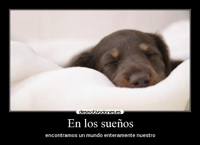 En los sueños -