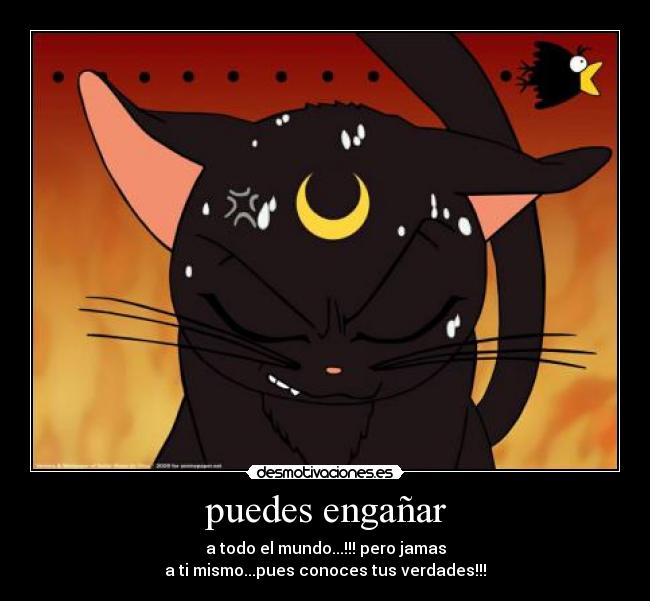 puedes engañar - 