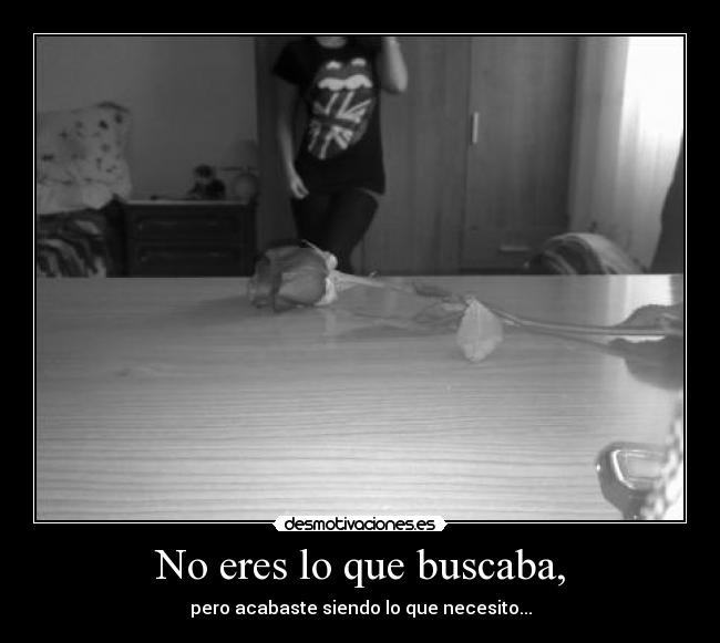 No eres lo que buscaba, - pero acabaste siendo lo que necesito...