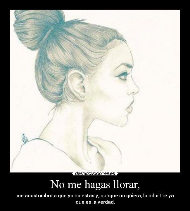 carteles llorar lolchinolol desmotivaciones