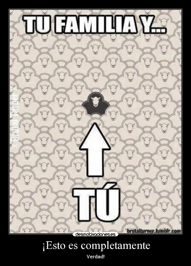 ¡Esto es completamente - 