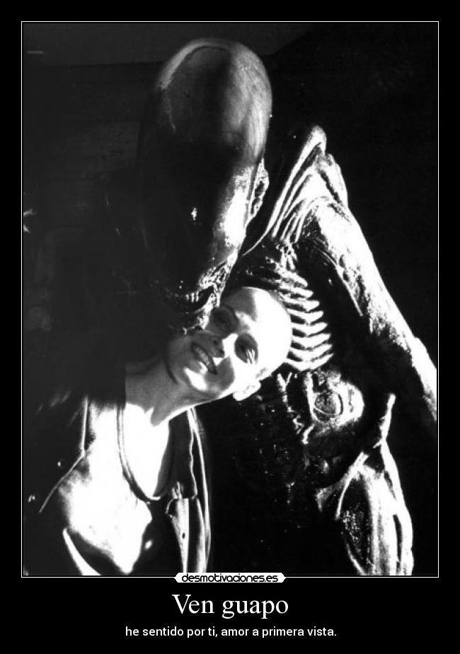 Ven guapo - he sentido por ti, amor a primera vista.