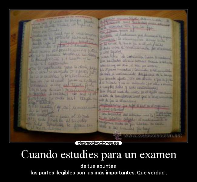 Cuando estudies para un examen - de tus apuntes 
las partes ilegibles son las más importantes. Que verdad .