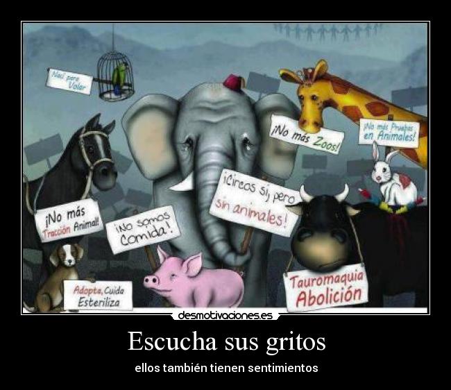 Escucha sus gritos -