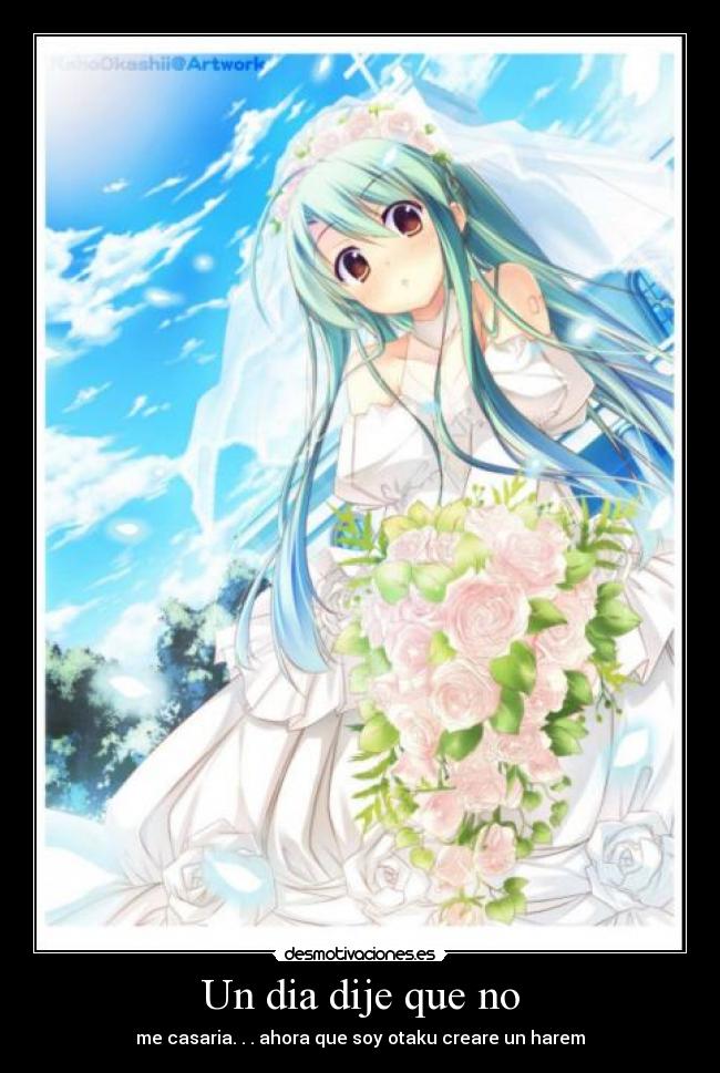 Un dia dije que no - me casaria. . . ahora que soy otaku creare un harem