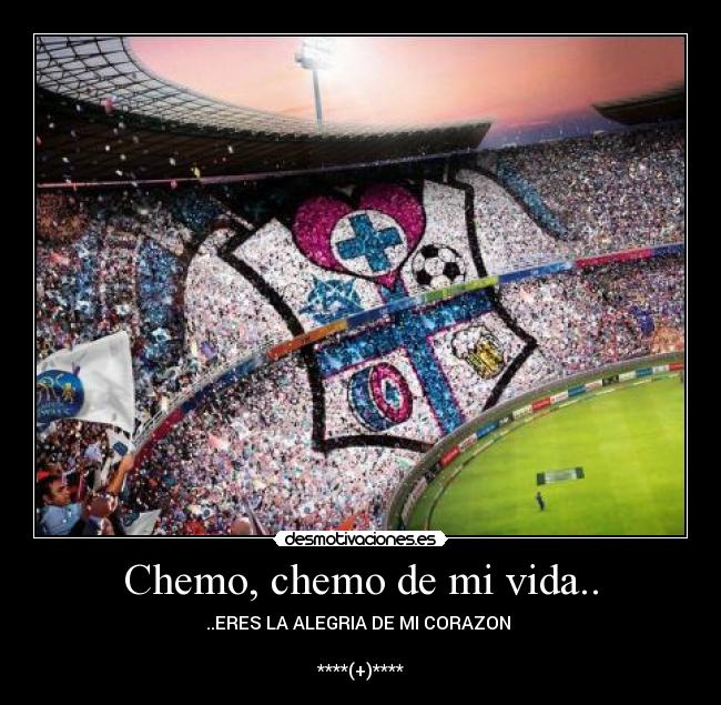 Chemo, chemo de mi vida.. -