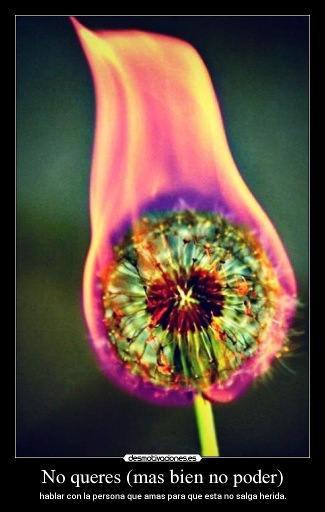 carteles bipolargirl desmotivaciones