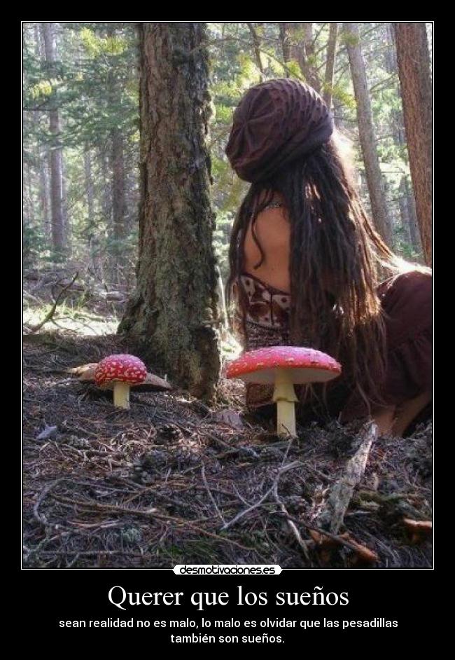 Querer que los sueños - sean realidad no es malo, lo malo es olvidar que las pesadillas también son sueños.