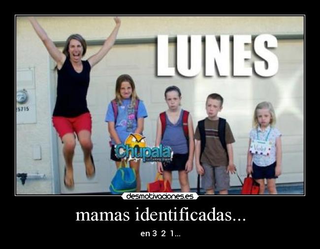 carteles realidad mamas indentificadas desmotivaciones