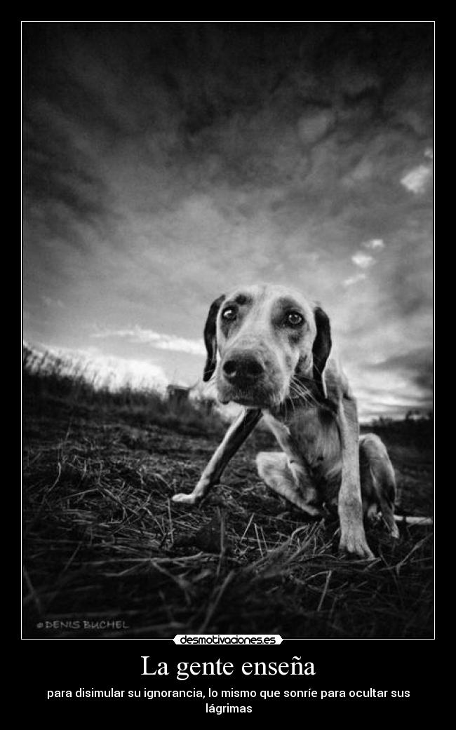 La gente enseña -