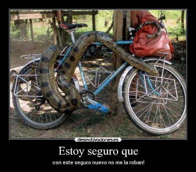 Estoy seguro que - con este seguro nuevo no me la roban!