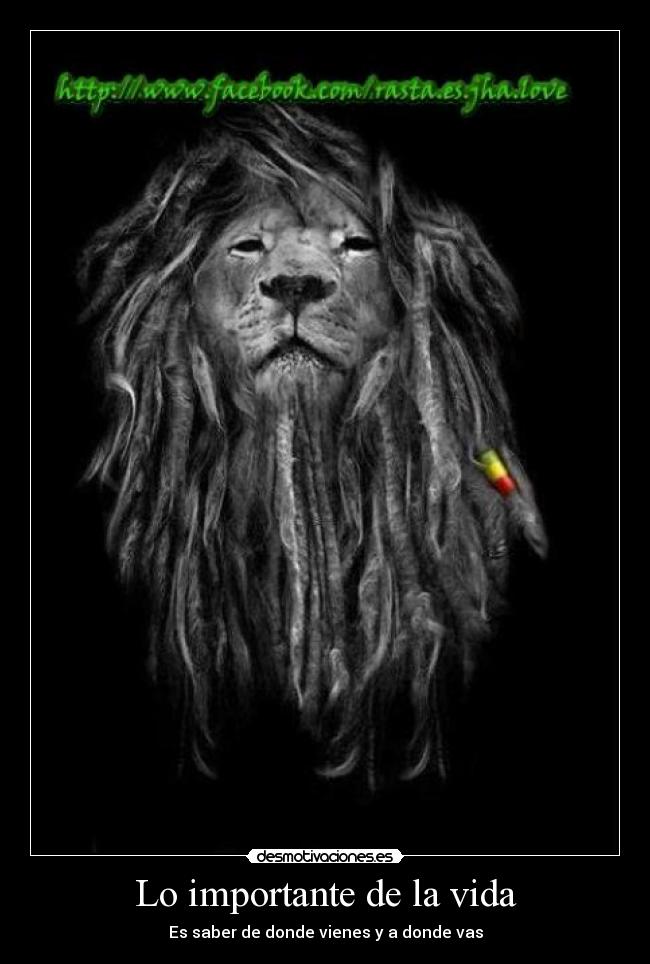 Lo importante de la vida - Es saber de donde vienes y a donde vas