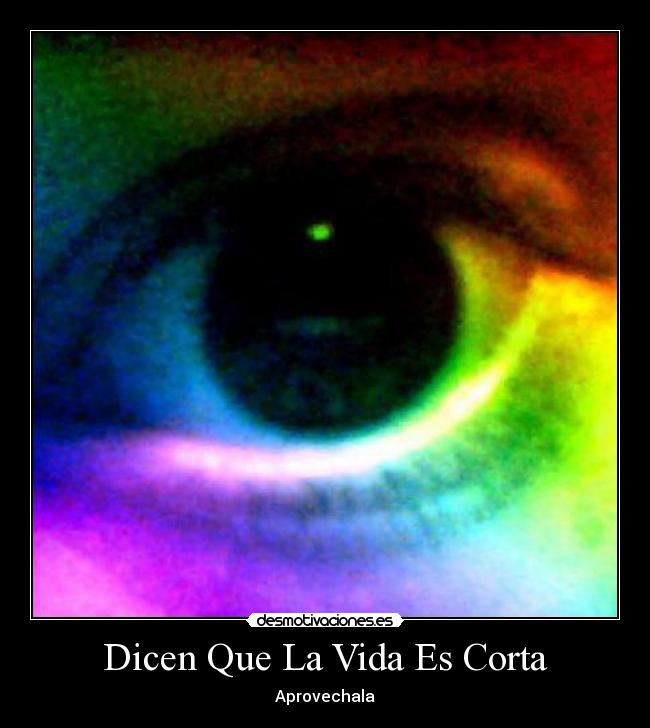 Dicen Que La Vida Es Corta - Aprovechala