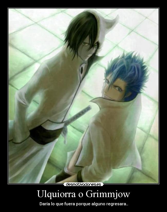 Ulquiorra o Grimmjow - 