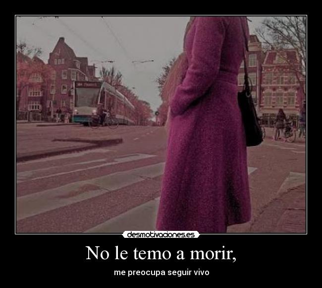 carteles pura realidad desmotivaciones