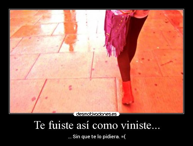 carteles fuiste asi como viniste desmotivaciones