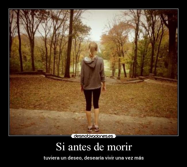 carteles taylor swift wanna live one more time desmotivaciones