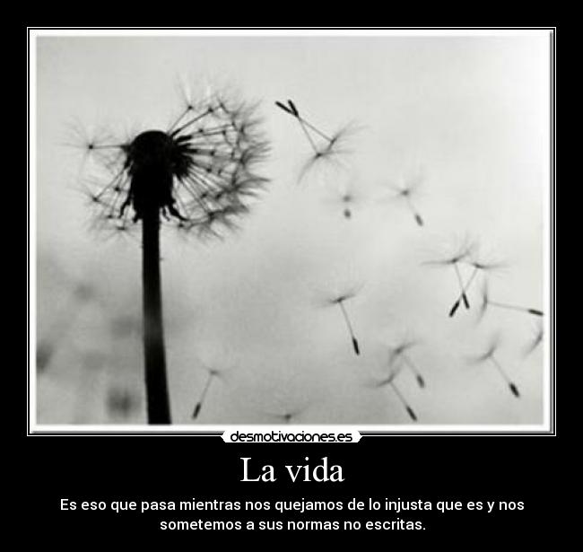 La vida - Es eso que pasa mientras nos quejamos de lo injusta que es y nos
sometemos a sus normas no escritas.