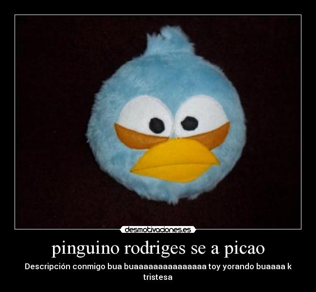 pinguino rodriges se a picao - Descripción conmigo bua buaaaaaaaaaaaaaaa toy yorando buaaaa k tristesa