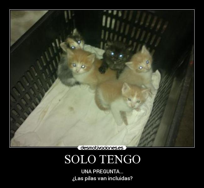 SOLO TENGO - UNA PREGUNTA...
¿Las pilas van incluidas?