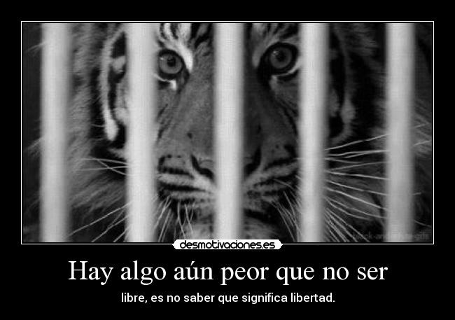 Hay algo aún peor que no ser - libre, es no saber que significa libertad.