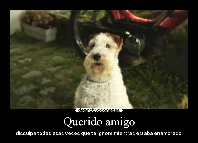 Querido amigo - disculpa todas esas veces que te ignore mientras estaba enamorado.