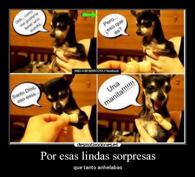 Por esas lindas sorpresas - que tanto anhelabas