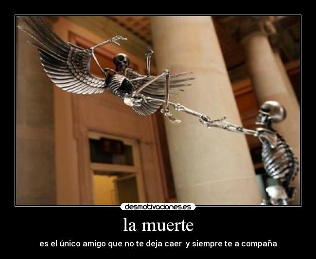 carteles muerte muerte desmotivaciones