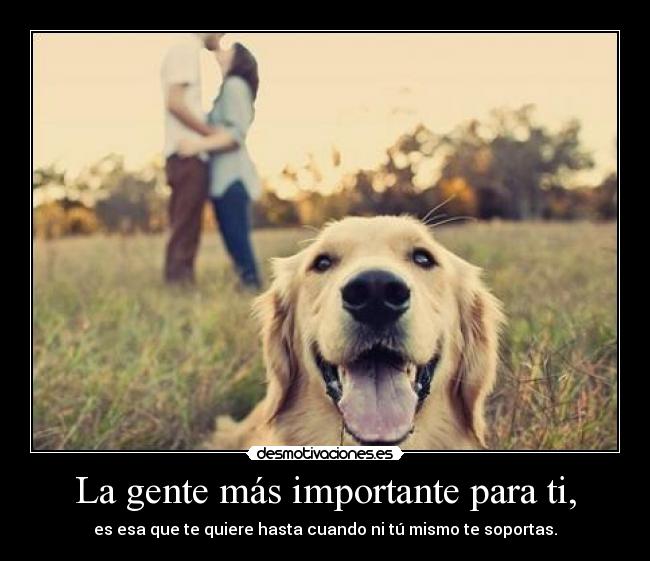 La gente más importante para ti, - es esa que te quiere hasta cuando ni tú mismo te soportas.