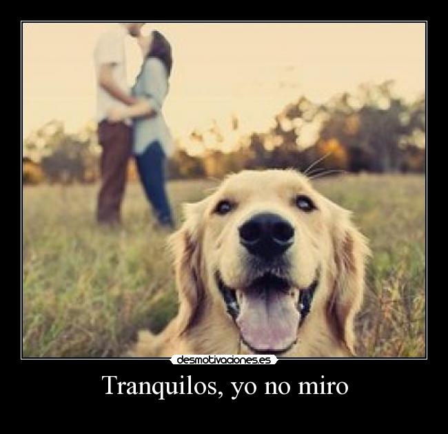 carteles perro beso desmotivaciones