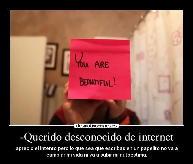 -Querido desconocido de internet - 