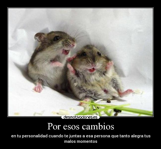 Por esos cambios - en tu personalidad cuando te juntas a esa persona que tanto alegra tus
malos momentos