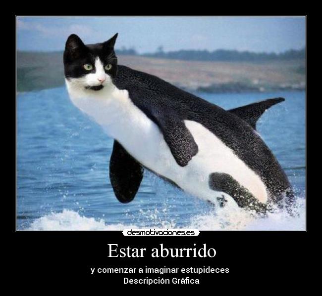 Estar aburrido - y comenzar a imaginar estupideces
Descripción Gráfica